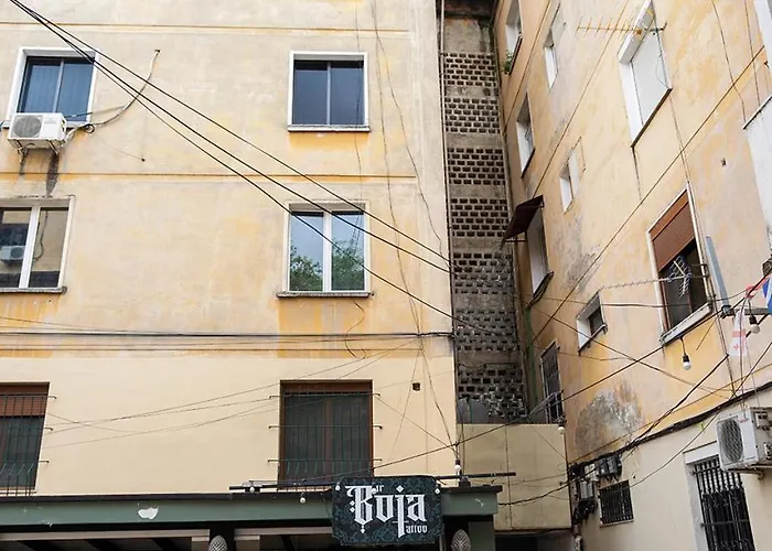 Olive Tree * ティラナ